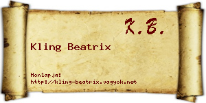 Kling Beatrix névjegykártya